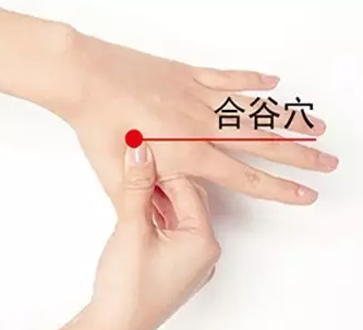 合谷穴