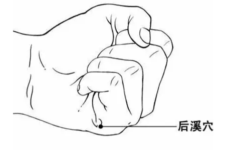 后溪穴